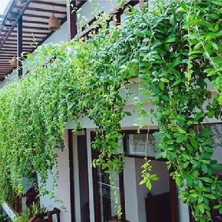 Riverside Plum Garden Homestay Hoi An Exterior foto