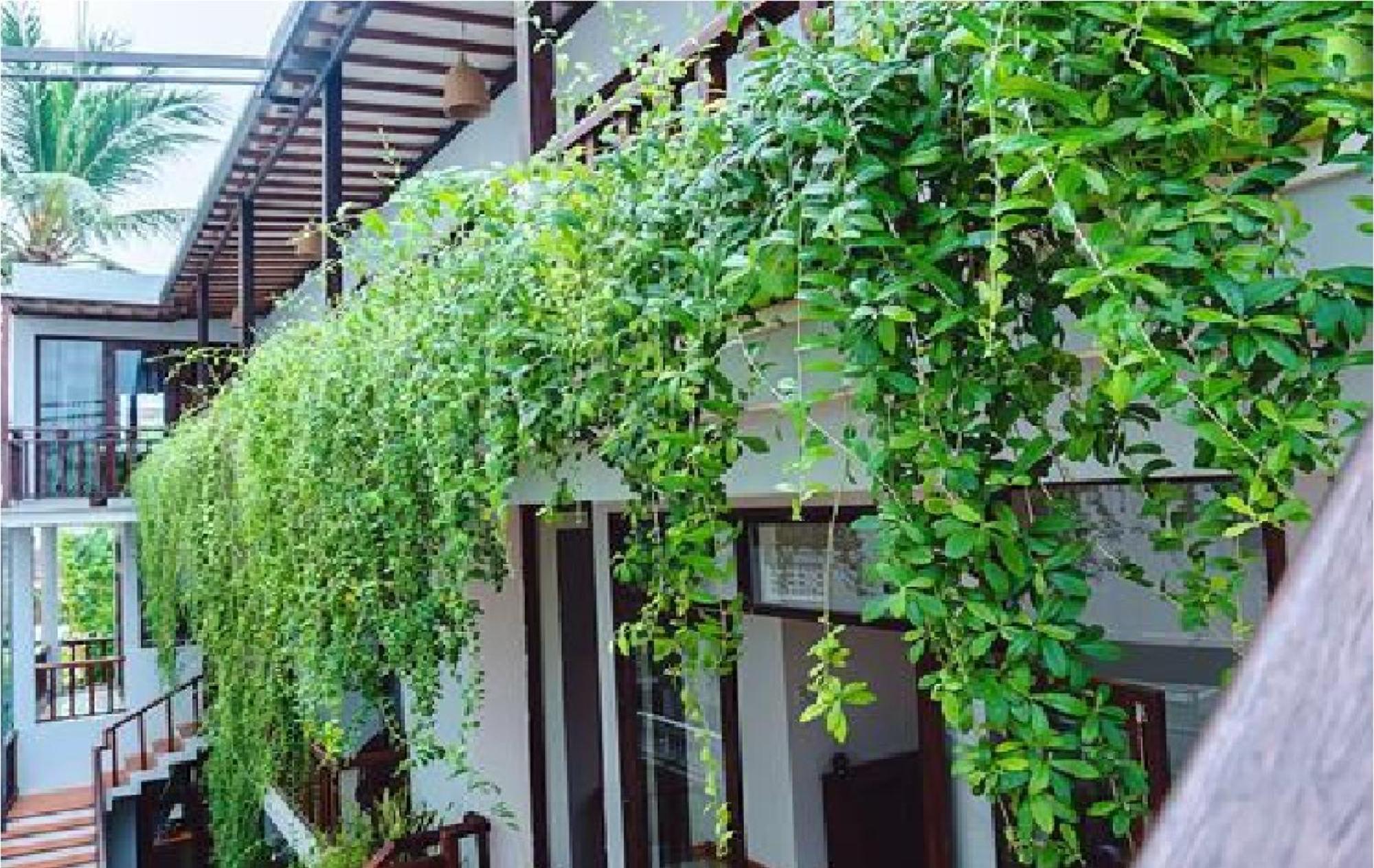 Riverside Plum Garden Homestay Hoi An Exterior foto